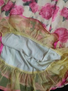 Beautiful Dress Rose Printed