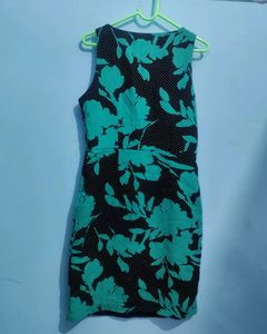 One Peas Dress