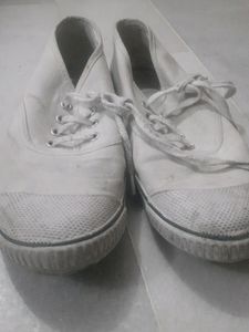Lakhani School Shoes For Boys And Girls