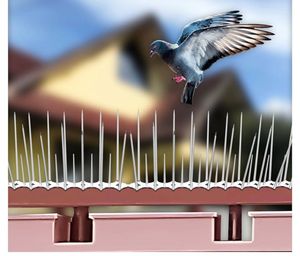 Anti-Pigeon Spikes