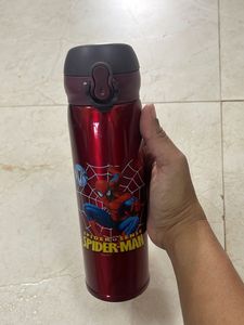 Spiderman Insulted Water Bottle - Random Colours