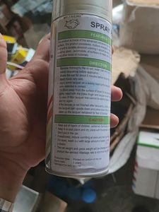 Spray Paint Silver Colour