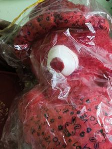 Red Teddy Bear