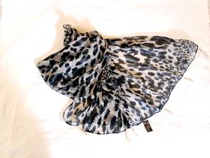 Women's Georgette Scarf