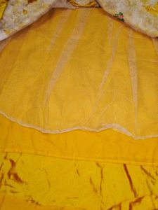 Embroidered Lehenga Choli Set