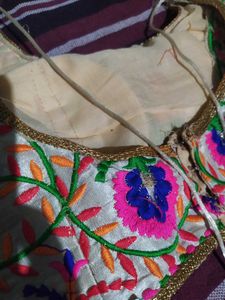 Embroidered Multi Colour  Blouse