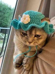 Cute Cat Hat
