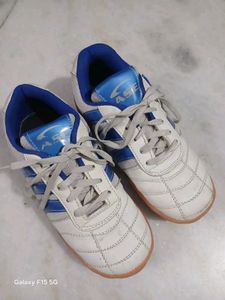 White &amp; Blue Casual Shoes