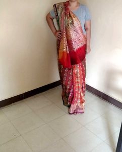 Red &amp; Gold Paisley Sari