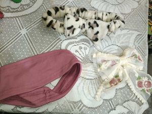 hair accessories set