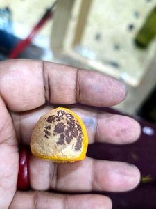 Ganesha Showpiece made out of betel nut