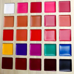 Brand New Delanci Lip Palatte