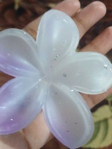 Aesthetic Flower Hairclip