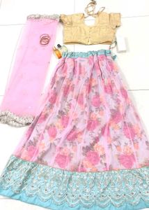 pastel pink And Blue Cute Lahenga✨
