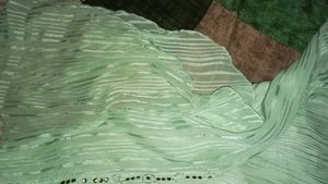Green Sheer Top