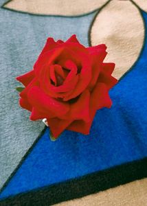 Hair Pin