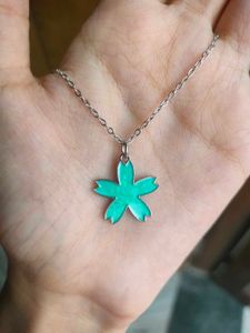 Necklace Set - 5 Charm Pendants