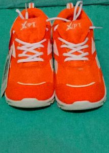 Sports Shoes for Players
