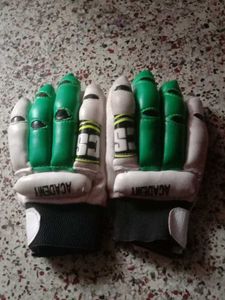 Cricket Hand Gloves