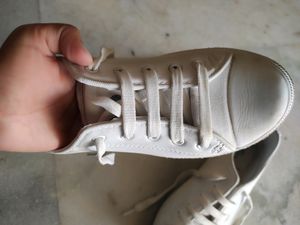 Casual Shoes For Girls