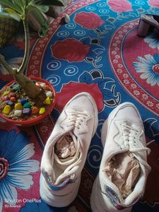Woman White Sport Shoes 👟
