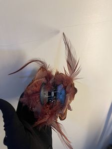 Hair Clip