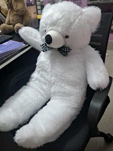 Cute White Teddy Bear