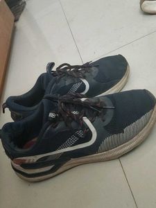 Campus Running Shoes