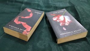 2 BOOK COMBO OF TWILIGHT SAGA