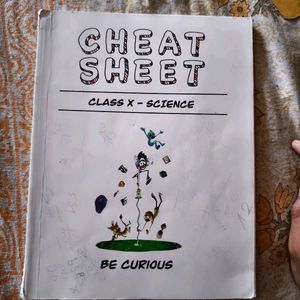Class X 10 Cheat Sheet BY BKP ( BHAI KI PADHAI )