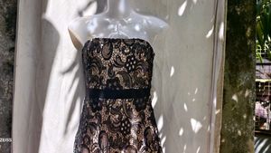 14510. Lace Bodycon Mini Dress