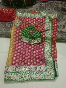 Embroidered Indian Outfit Saree