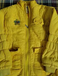Yellow Colour Jacket