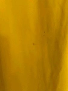 💥Mustard Yellow Embroidered Neckline Top💥