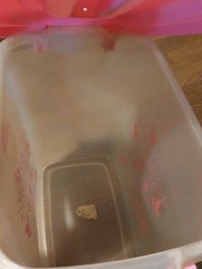 Dreamline Storage Container