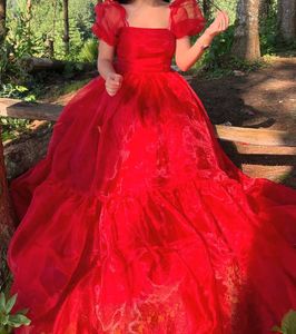 Red Organza Birthday Dress