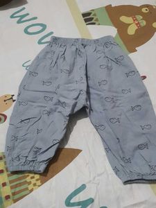 Baby Pant