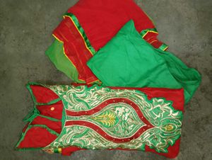 Red &amp; Green Embroidered suit