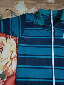 Alpine T Shirt Navy Blue Stripes