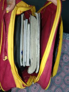 Motu Patlu School Bag For Nursery To 2class Kid