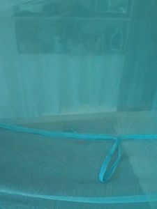Blue Mosquito Net