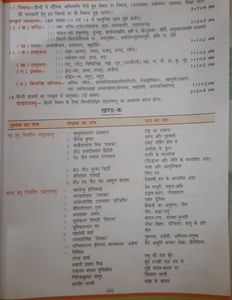 Hindi &amp; English Class 12th Book