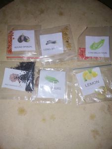 50 Types of Vegetable Plant Seeds