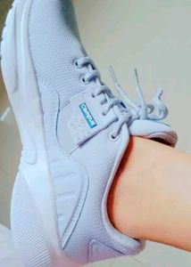 Shoe