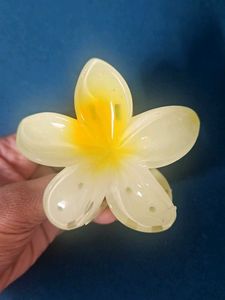 Flower Hair Clips (Set of 4)