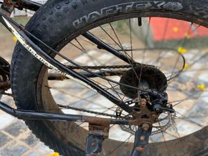 Fire Catcher Fat Tire Bicycle