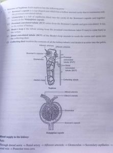 Together With Physics | Chemistry | Biology Combo