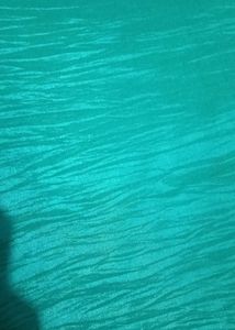 Blue &amp; Green Saree with Blouse