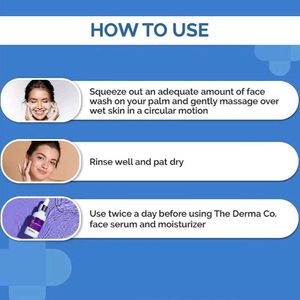 THE DERMA CO 1% SALICYLIC ACID GEL FACE WASH