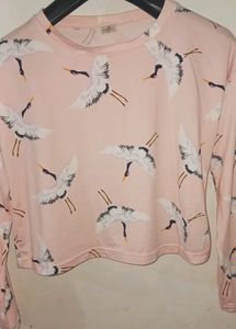 Full Sleeves Crop Top